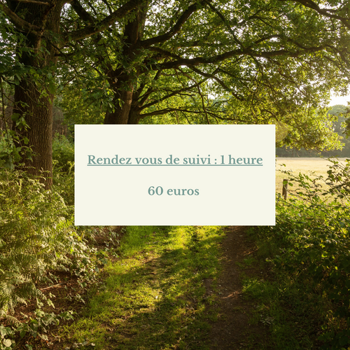 Bilan de suivi, naturopathie